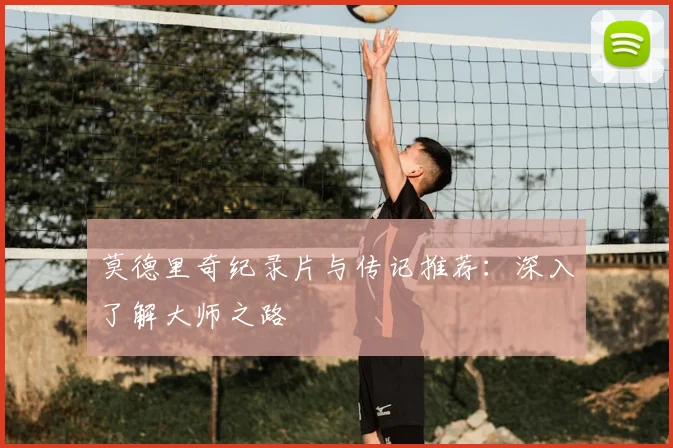 莫德里奇纪录片与传记推荐：深入了解大师之路