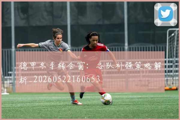 德甲冬季转会窗:各队补强策略解析_20260522160653